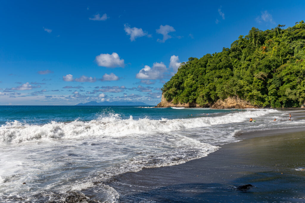 Partez à l'aventure de l'une des plus belles île du monde ! l'Anse Couleuvre : Une des plus belles plages de Martinique !