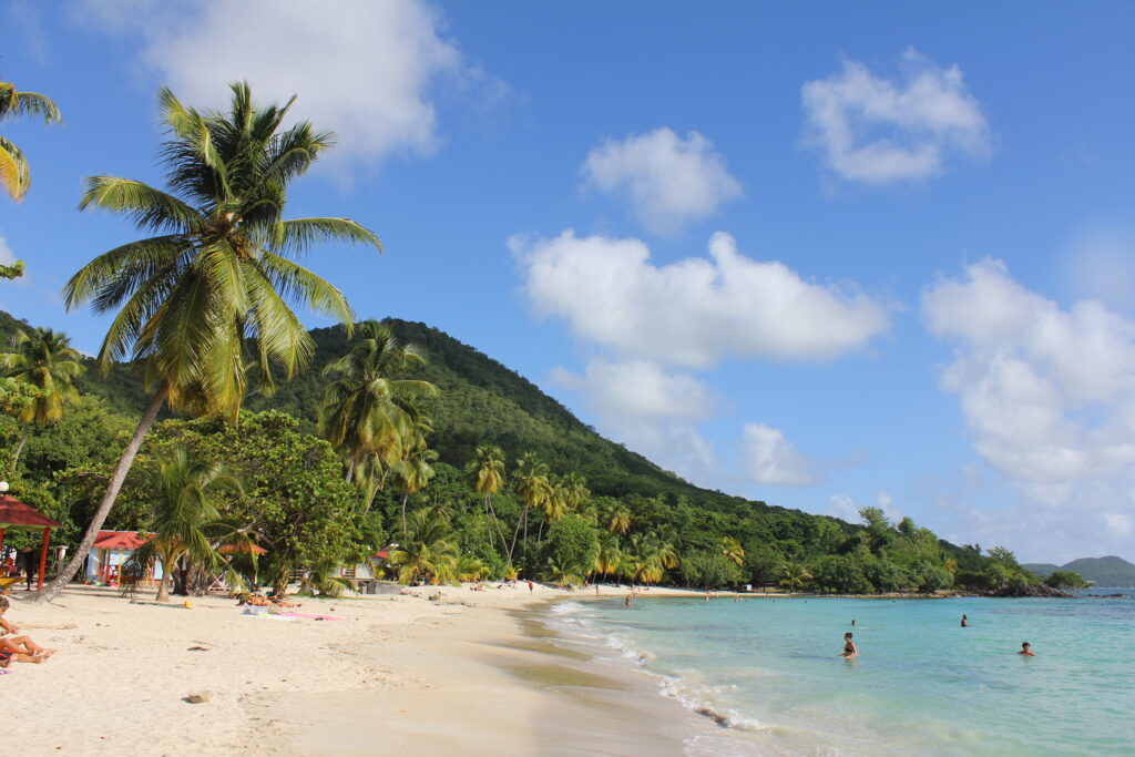 Envie de se baigner dans une eau à  30 degrés au milieu des cocotiers ? 