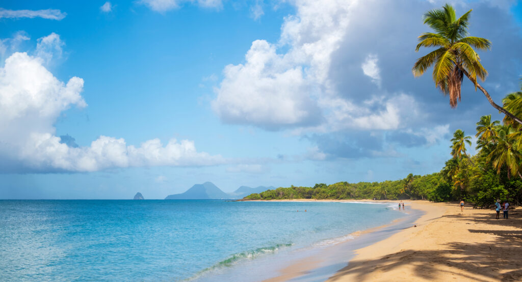 Des palmiers aux plages de sable fin, la Martinique vous livre ses secrets !