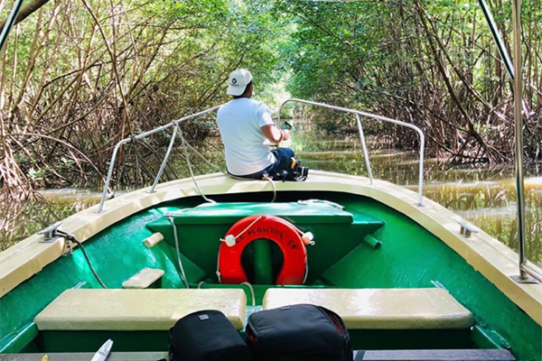 Mangrove Bateau Moteur